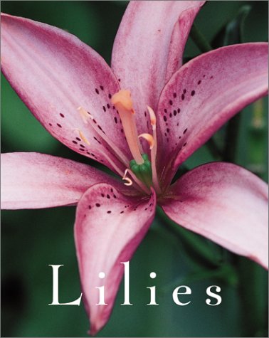 Lilies Cover