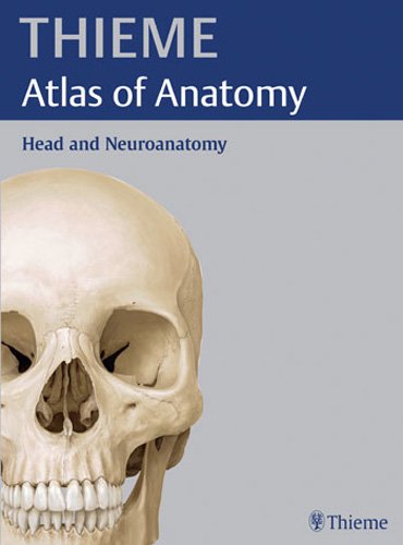 Head and Neuroanatomy (Thieme Atlas of Anatomy Series) Cover