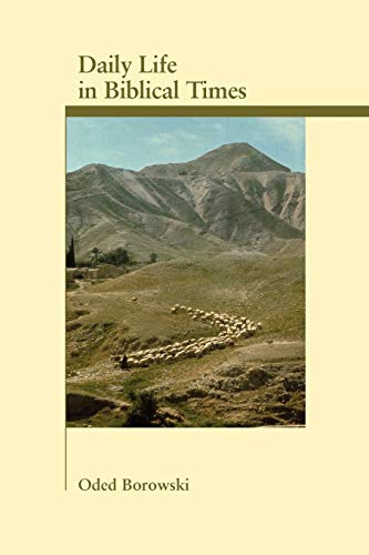 Daily life in biblical times Cover