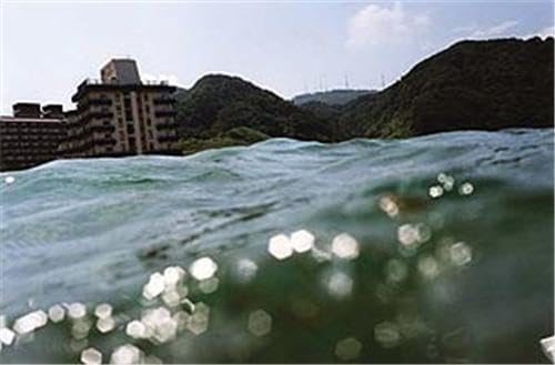 Attempted cover for Book ID: 1590052153