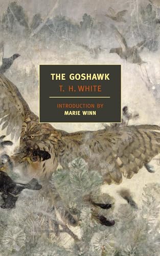 The goshawk Cover