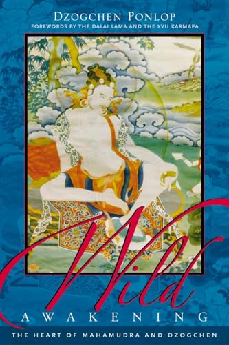 Wild awakening Cover