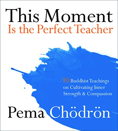 This Moment Is the Perfect Teacher Cover