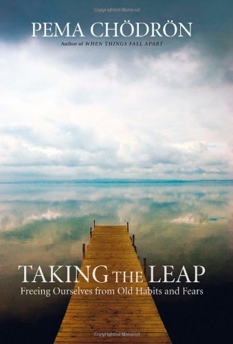 Taking the leap Cover