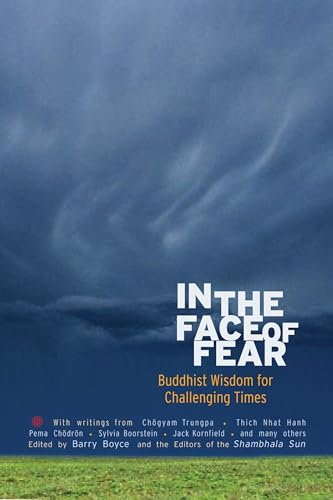 In the face of fear Cover