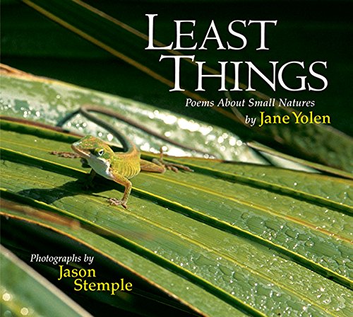 Least things Cover