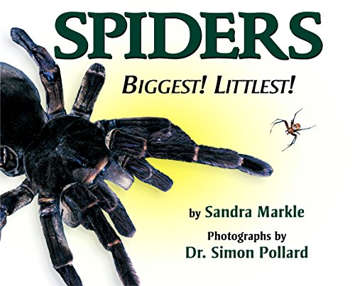 Spiders Cover