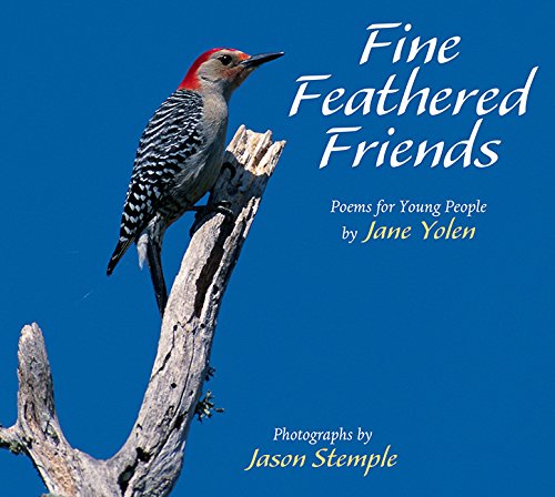 Fine feathered friends Cover