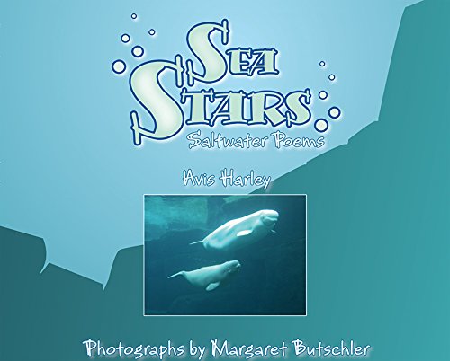 Sea Stars Cover