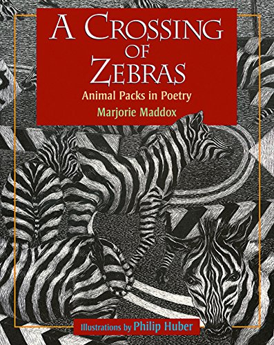 A Crossing of Zebras Cover