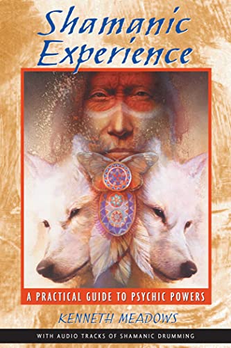 Shamanic experience Cover