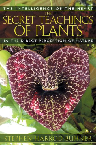The Secret Teachings of Plants Cover