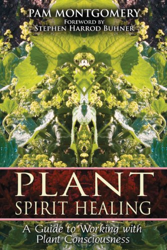 Plant Spirit Healing Cover