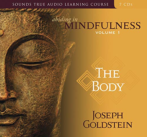 Abiding in Mindfulness Cover