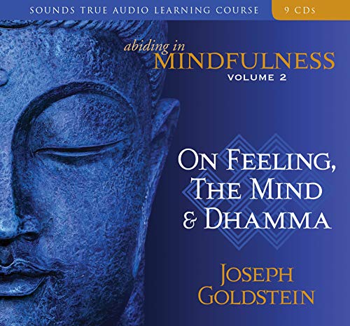 Abiding in Mindfulness Cover