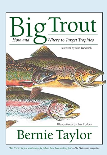 Big trout Cover