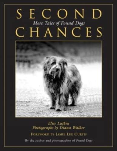 Second chances Cover