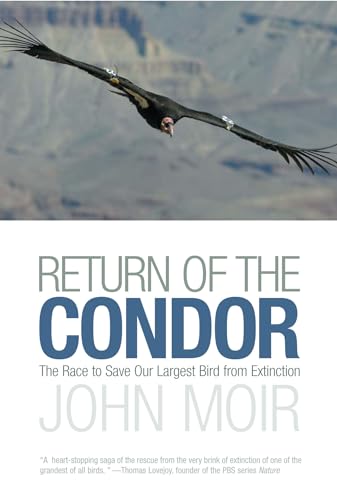 Return of the condor Cover