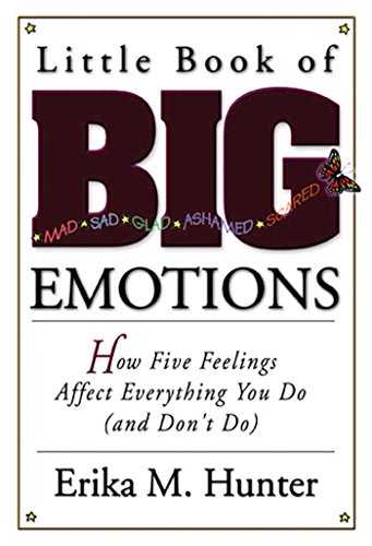 Little Book of Big Emotions Cover