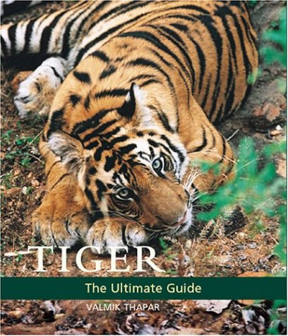 Tiger Cover