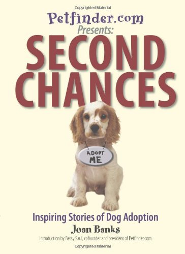 Second Chances Cover