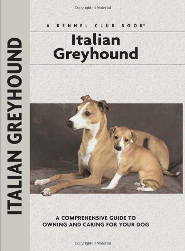 Italian Greyhound Cover