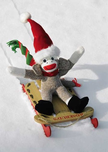 3751 - Sock Monkey Boxed Holiday Cards Cover