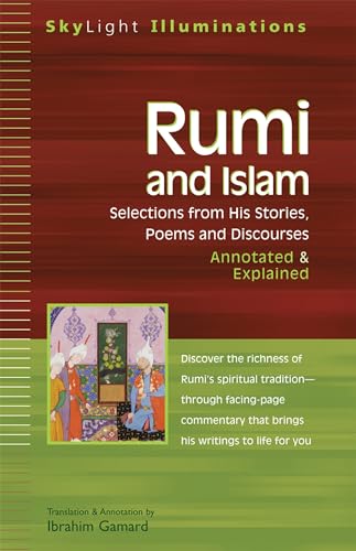 Rumi and Islam Cover