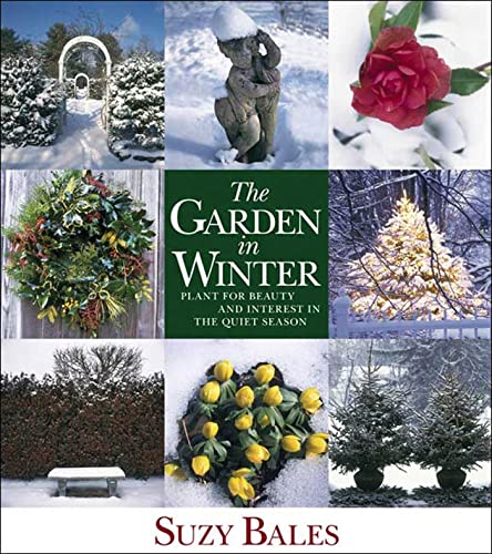 The Garden in Winter Cover