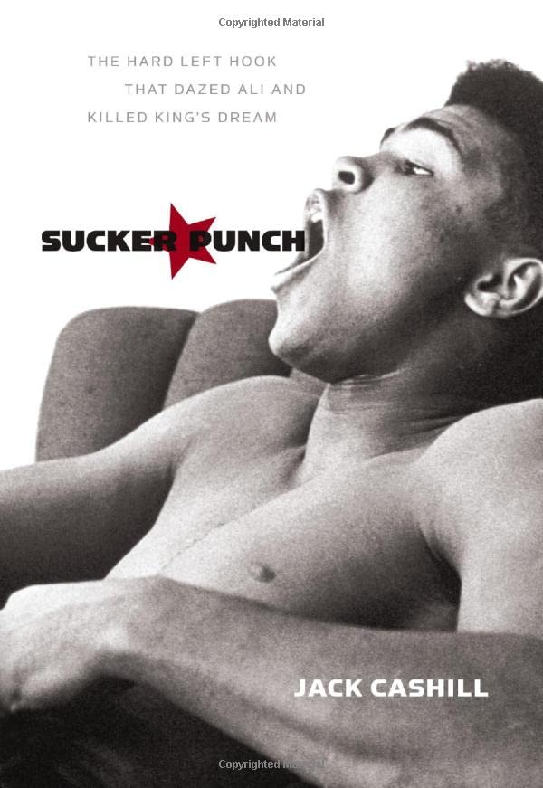 Sucker punch Cover