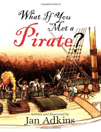 What If You Met A Pirate? Cover