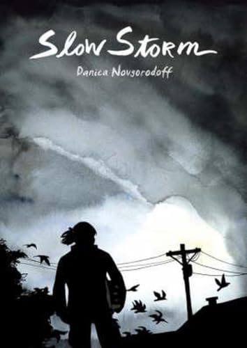 Slow storm Cover