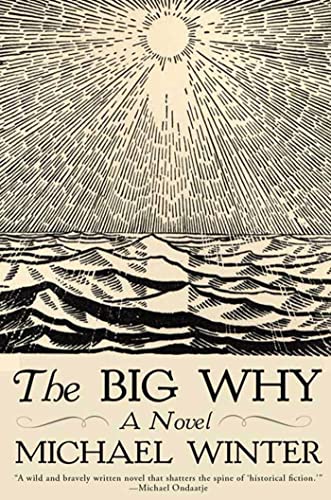 The big why Cover