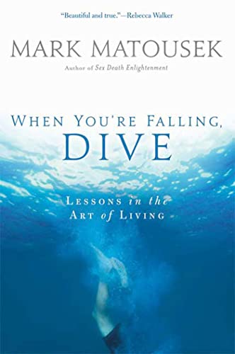 The When You're Falling, Dive Cover