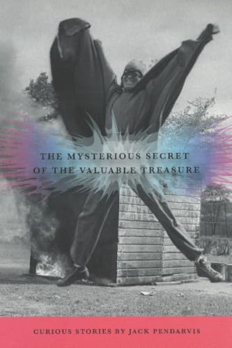The Mysterious Secret of the Valuable Treasure Cover