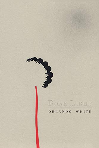 Bone light Cover