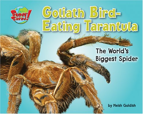 Goliath Bird-Eating Tarantula Cover