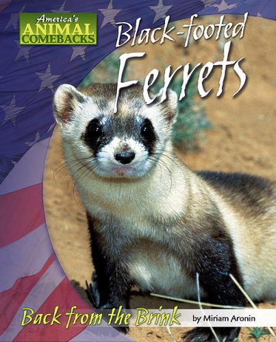 Black-footed Ferrets Cover