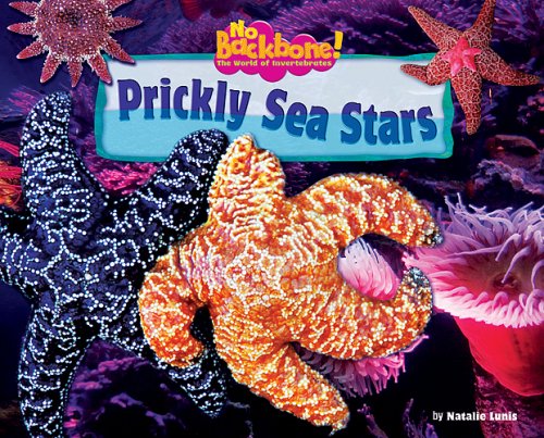 Prickly Sea Stars (No Backbone! the World of Invertebrates) Cover