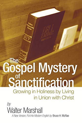 The Gospel Mystery of Sanctification Cover