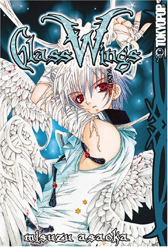 Glass Wings Cover