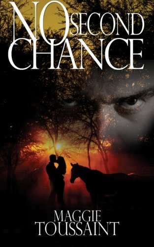 No Second Chance Cover