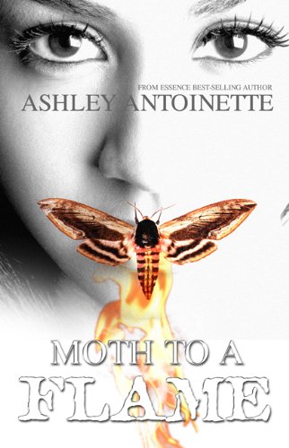 Moth to a flame Cover