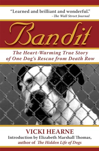 Bandit Cover