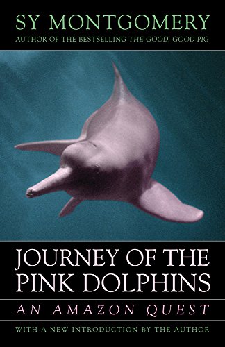 Journey of the pink dolphins Cover