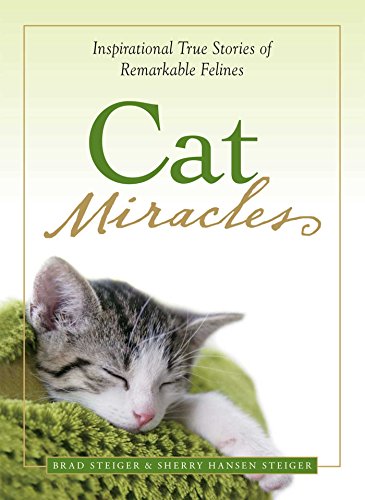 Cat miracles Cover