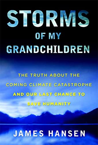 Storms of my grandchildren Cover