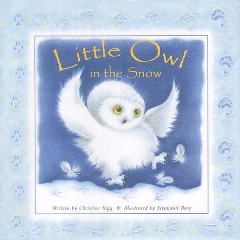 Little Owl in the Snow Poster