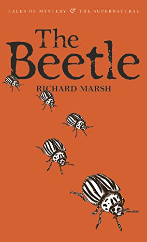 The Beetle Cover