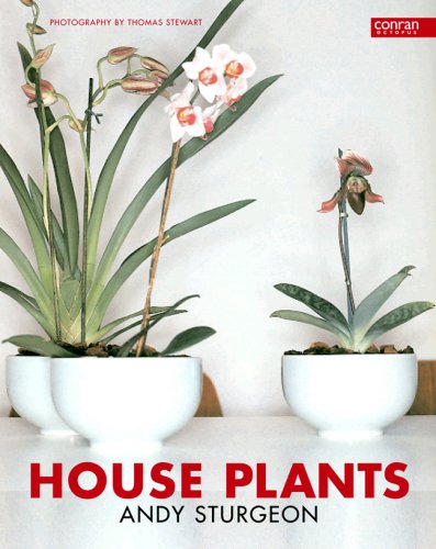 House Plants Cover